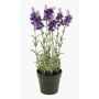 Konstgjord lavendel LOUISE i dekorativ kruka, mörkvioletta, 30cm, Ø3cm