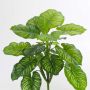 Konstgjord Calathea Orbifolia ULANI på stödpinne, grön, 45cm
