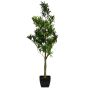 Podocarpus AMANDO i plast, konstgjord stam, 90cm