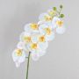 Konstgjord Phalaenopsis-orkidégren OPHELIA, vit, 100cm, Ø9-12cm