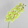 Konstgjord Phalaenopsis-orkidégren OPHELIA, grön-cerise, 100cm, Ø9-12cm
