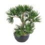 Konstgjord bonsaitall CATALINA i planteringsskål, 35cm
