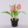 Konstgjord tulpan CAITLYN i dekorativ kruka, rosa-grön, 25cm, Ø2-6cm