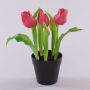 Konstgjord tulpan CAITLYN i dekorativ kruka, cerise-grön, 25cm, Ø2-6cm