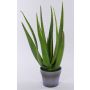 Konstgjord aloe vera NAMIKA i dekorativ kruka, grön, 50cm, Ø50cm