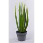 Aloe vera NAMIKA i dekorativ kruka, grön, 60cm, Ø60cm