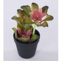 Konstgjord Echeveria gibbiflora SHAUNA i dekorativ kruka, grön-violett, 25cm