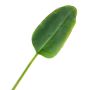 Konstgjort bananblad YUMI, 95cm