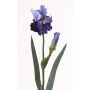 Konstgjord iris ALYSSA, blå, 70cm, Ø13cm