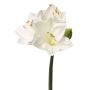 Konstgjord amaryllis BENITA, vit, 55cm, Ø10cm