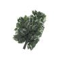 Konstgjord Ficus Benjamini-gren SAKURA, 12 stycken, grön-vit, 60cm