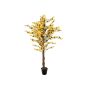 Konstgjord forsythia MISAKI, äkta stammar, med blommor, gul, 150cm