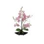 Konstgjord orkidé Phalaenopsis IVIE, dekorativ skål, crossdoor, rosa, 50cm