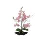 Konstgjord orkidé Phalaenopsis IVIE, dekorativ skål, crossdoor, rosa, 50cm