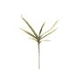 Plastskum Yucca elephantipes SHIRIN, crossdoor, 105cm