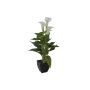 Plastcalla JAMILA i dekorativ kruka, vit, 40cm, 4x6cm