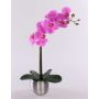Konstgjord orkidé Phalaenopsis EMILIA, dekorativ kruka, cerise, 45cm