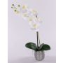 Konstgjord orkidé Phalaenopsis EMILIA, dekorativ kruka, vit, 45cm