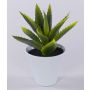 Konstgjord aloe vera ROSALINA i keramikkruka, grön, 21cm