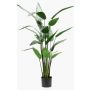 Konstväxt Helikonia ANURIA, 125cm