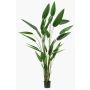 Konstväxt Heliconia ANURIA, 220cm