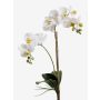 Konstgjord orkidé Phalaenopsis CANDIDA på pinne, vit, 65cm
