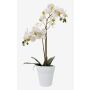 Konstgjord orkidé Phalaenopsis CANDIDA i keramikkruka, vit, 65cm