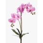 Konstgjord orkidé Phalaenopsis CANDIDA på pinne, rosa, 65cm