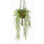 Konstgjord Asparagus plumosus hängande blomsterkruka SILIJA, terrakottakruka, 80cm