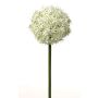 Konstgjord allium SAMARA, vit-grön, 75cm, Ø12cm