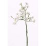 Konstgjord prästkrage BELINA, vit, 30cm, Ø1-1,5cm