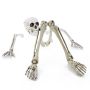 Halloween-dekoration skelettdelar ADALBERT med 5 markpinnar, 19cm, 45cm, 66cm
