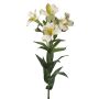 Dekorativ kvist Inkalilie AUBERTA, vit-grön-röd, 75cm, Ø6cm
