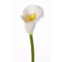 Konstblomma Calla CHIDORA, vit, 55cm, 4,5x5,5cm