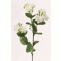 Konstgjord jasminkvist SINJA, vit-grön, 60cm, Ø4cm