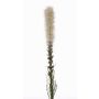 Konstgjord prydnadsblomma MITSA, krämfärgad, 80cm, Ø6cm
