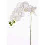 Konstgjord Phalaenopsis-orkidé GALINA, vit, 60cm, Ø6-8cm