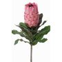 Konstgjord protea NELLI, rosa-cerise, 75cm, Ø8cm