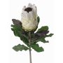 Konstgjord protea NELLI, vit-gul, 75cm, Ø8cm
