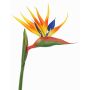 Konstgjord papegojblomma LATIFA, orange-violett, 90cm, 17x20cm