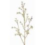 Konstgjord vaxblomma NIANG, krämfärgad, 80cm, Ø1,5-2,5cm