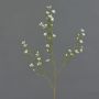 Konstgjord vaxblomma NIANG, krämfärgad, 80cm, Ø1,5-2,5cm