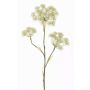 Konstgjord blomma, björnklöver ABDEROS, krämfärgad, 105cm, Ø12-20cm