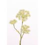 Konstgjord blomma, björnklöver ABDEROS, krämfärgad, 105cm, Ø12-20cm