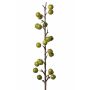 Konstgjord äppelträdskvist BORIAN med frukter, grön, 95cm