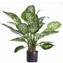 Konstgjord Dieffenbachia DILLA, grön-vit, 50cm