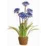 Konstgjord agapanthus INJALA i jordklump, blå-lila, 80cm, Ø11cm