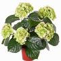Konstgjord hortensia TEMARI, grön, 40cm, Ø10-12cm