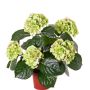 Konstgjord hortensia TEMARI, grön, 40cm, Ø10-12cm