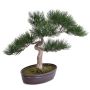 Konstgjord bonsai-tall ARATA med rötter, i dekorativ skål, 45cm